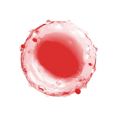 白细胞骨胶原液